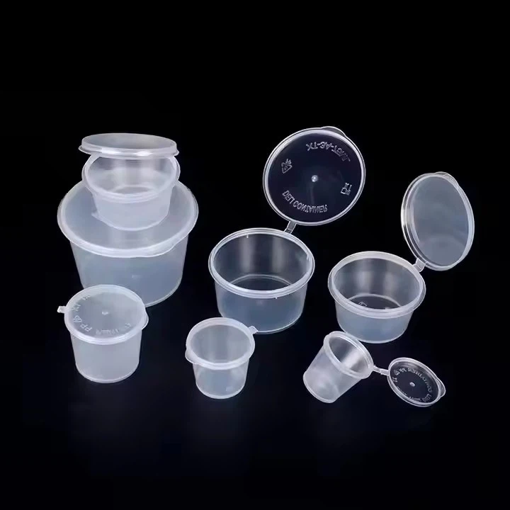 SauceContainer With Hinged Lid